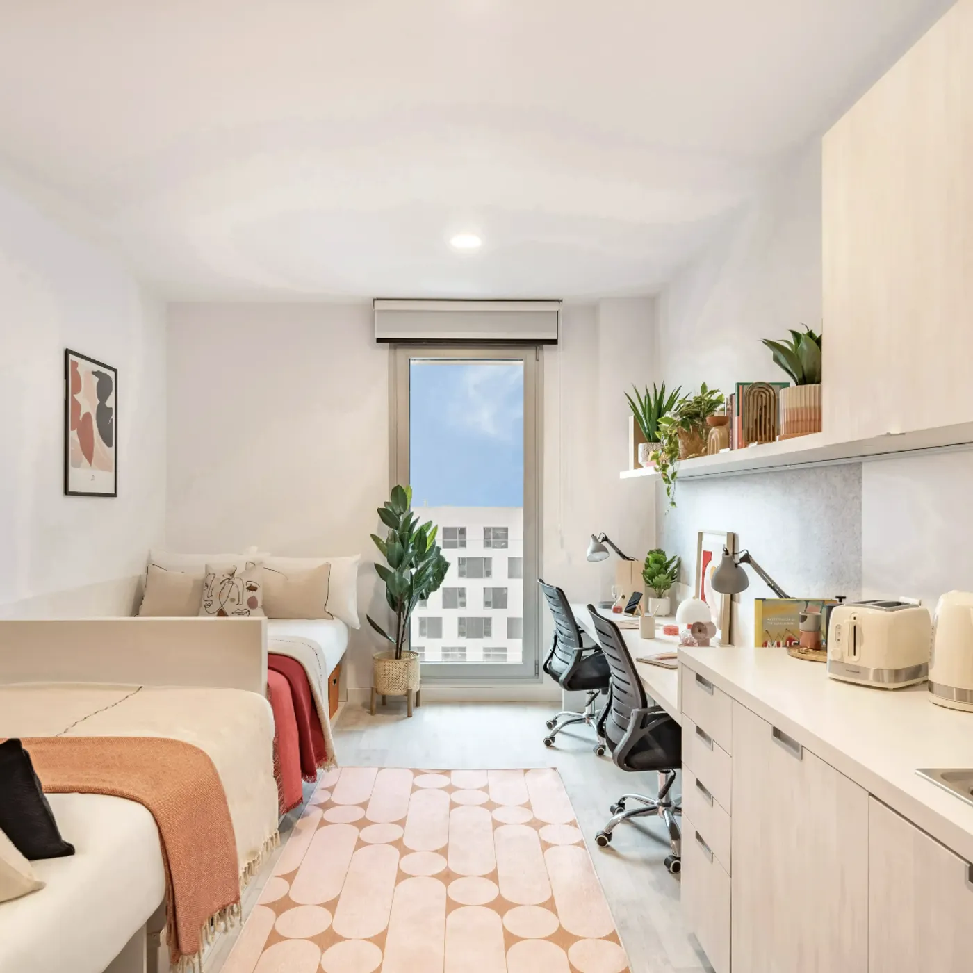 Image of Pamplona for CA Ventures